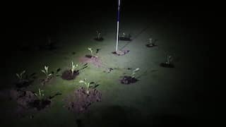 Climate activists plug up holes in golf courses across Spain amid massive drought