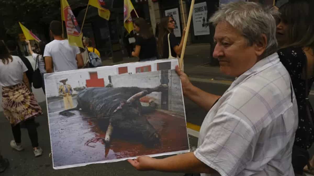 Previous protest