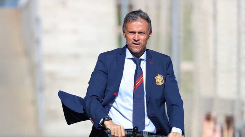 Ligue 1: PSG coach Luis Enrique insists having 'my best' season