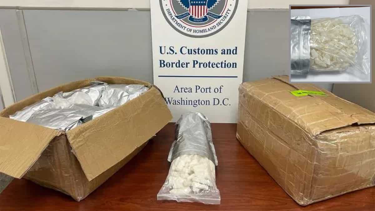 70 pounds of psychoactive drugs labelled as beauty products from China, bound for US seized 70 pounds of psychoactive drugs labelled as beauty products from China, bound for US seized