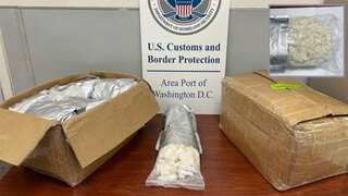 70 pounds of psychoactive drugs labelled as beauty products from China, bound for US seized
