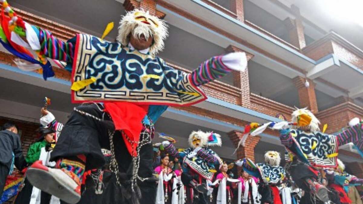 Performances at the programme