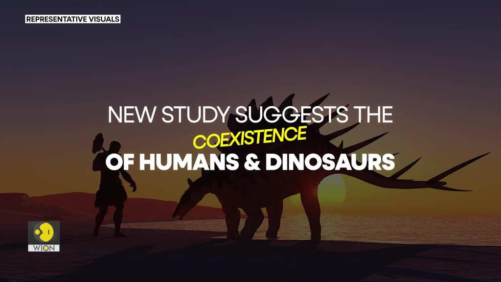 Did early human ancestors walk the Earth alongside dinosaurs but survive the Asteroid impact?
