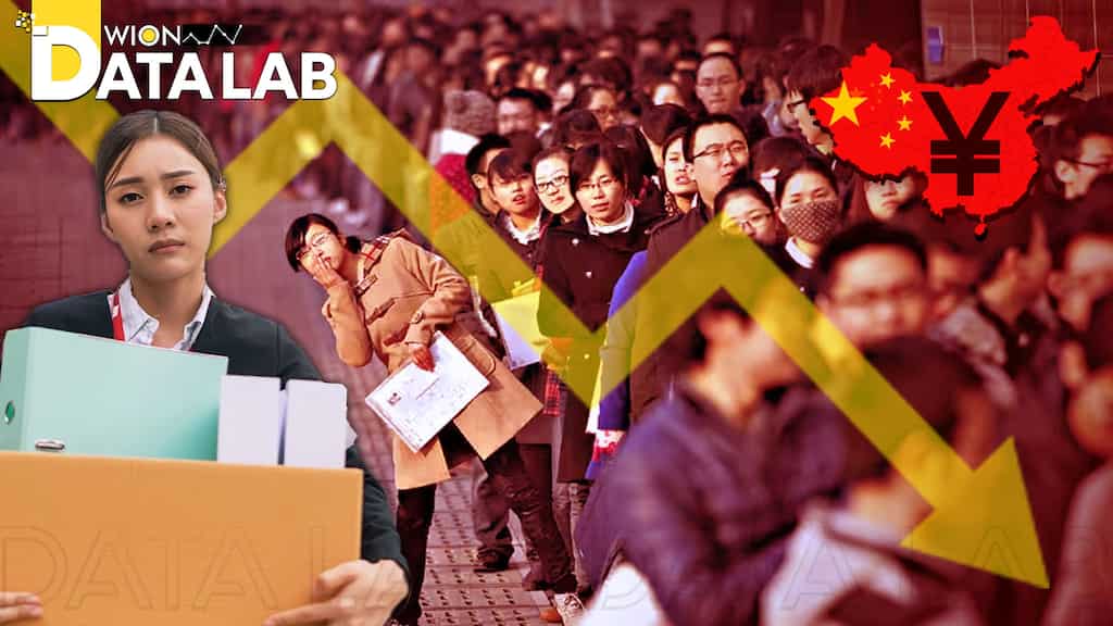 Data Lab | China's job crisis and 'the curse of 35’: Why are people afraid of that age?