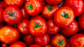 'Tomato crimes' continue in India, truck full of pricey vegetable has been hijacked