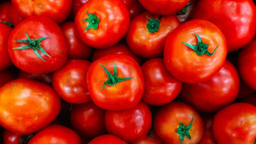 India: Tomato prices surge to five times normal cost, triggering social media memes fest. Take a look!