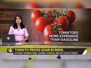 Gravitas:  Tomatoes more expensive than gasoline in India | What fuelled this surge?