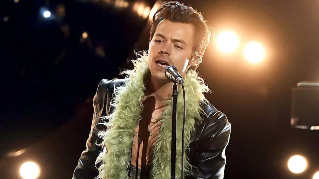 Ouch! Harry Styles hit in the face by fan-thrown object during Vienna concert