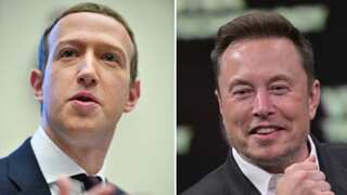 'Shirtless Zuckerberg' spotted training with MMA fighters ahead of potential cage fight with Musk