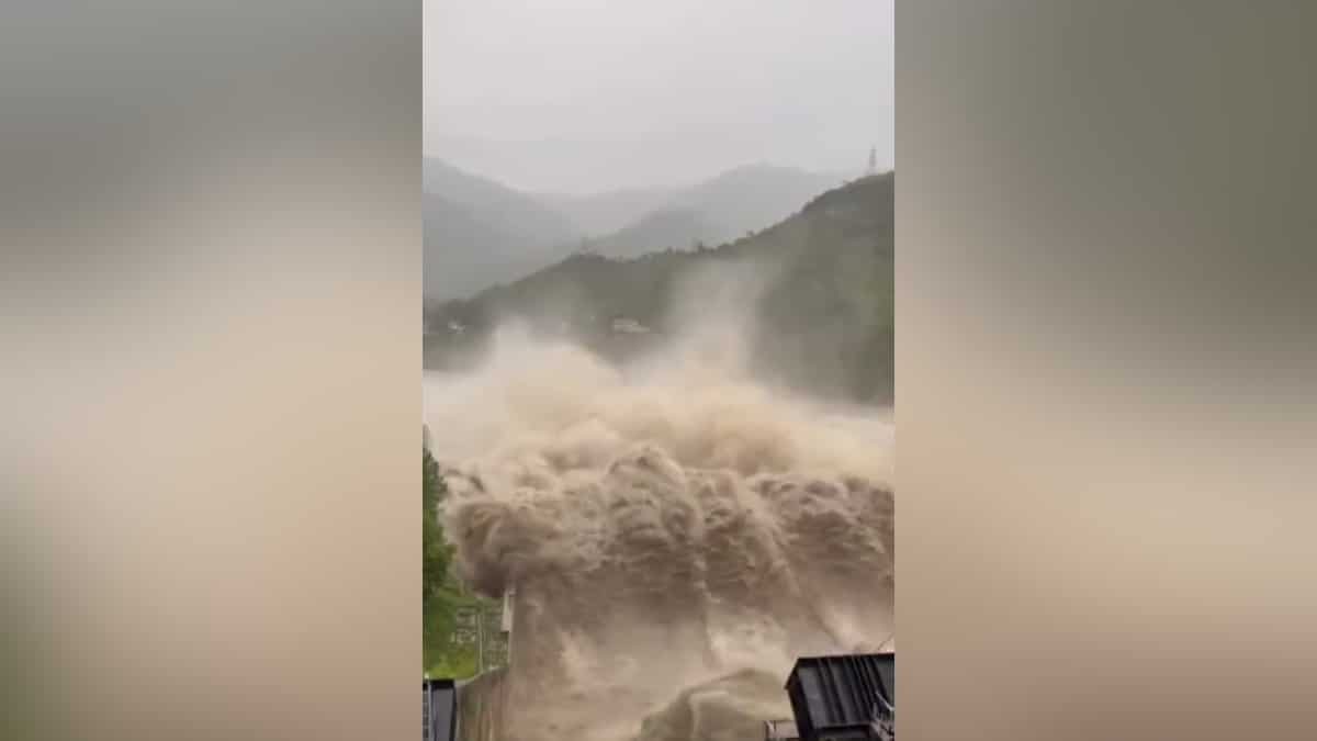 More rainfall than normal