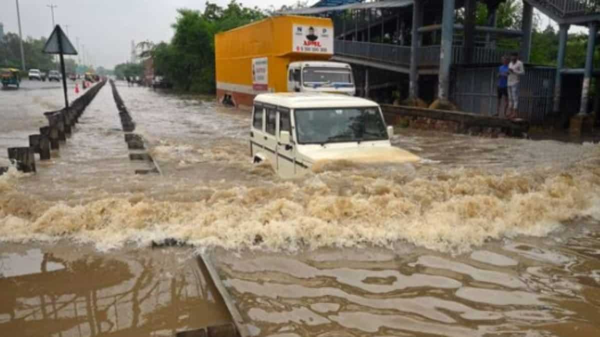 Cars washed away