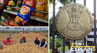 Explained | Delhi HC rejects PepsiCo’s appeal for patent on potato seeds: What was the case about?