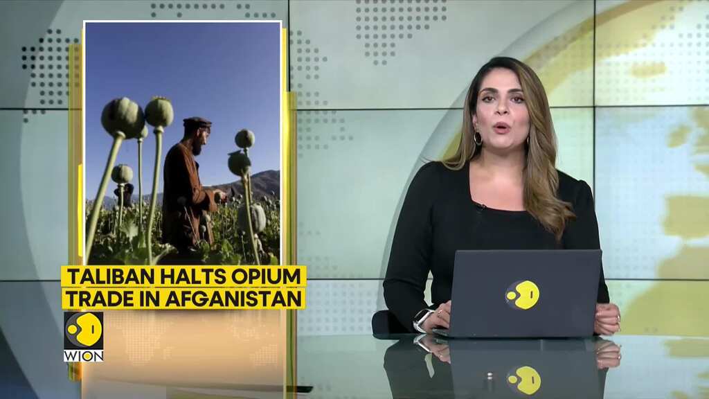Taliban-ruled Afghanistan looks to replace opium dependence