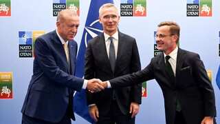 'Historic day' as Erdogan backs Sweden's NATO membership: Stoltenberg