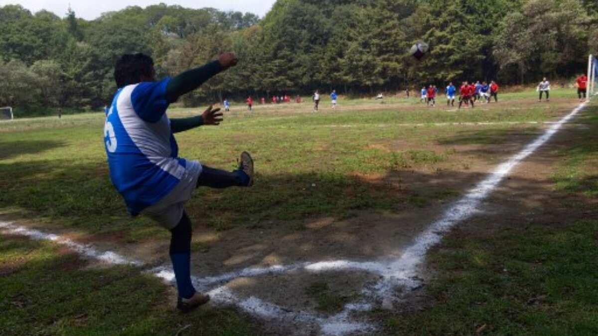 Enchanting transformation