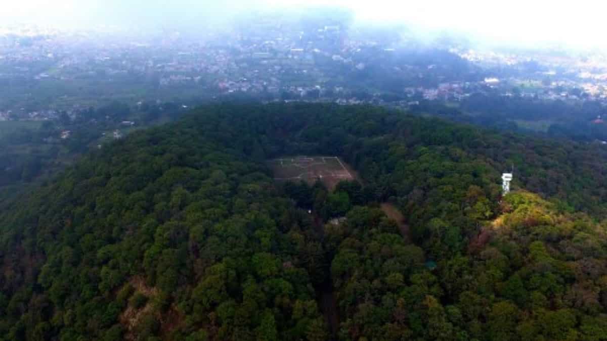 Beauty to be revered