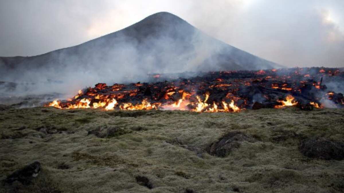 Increased activity in the region