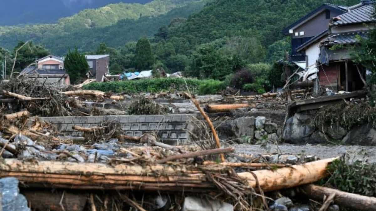 Services halted due to extreme weather conditions