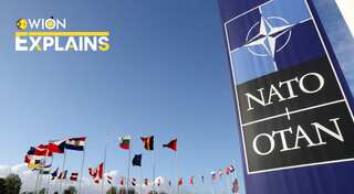 Explained: How Sweden was able to join NATO, but not Ukraine