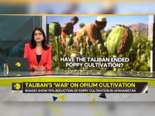 Gravitas: Have the Taliban eliminated poppy cultivation?