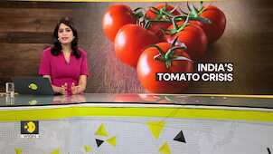Gravitas: Indian vegetable vendor gets bouncers to protect tomatoes