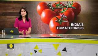 Gravitas: Indian vegetable vendor gets bouncers to protect tomatoes