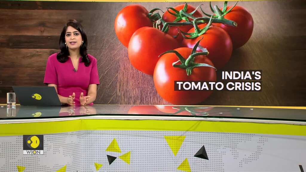 Gravitas: Indian vegetable vendor gets bouncers to protect tomatoes