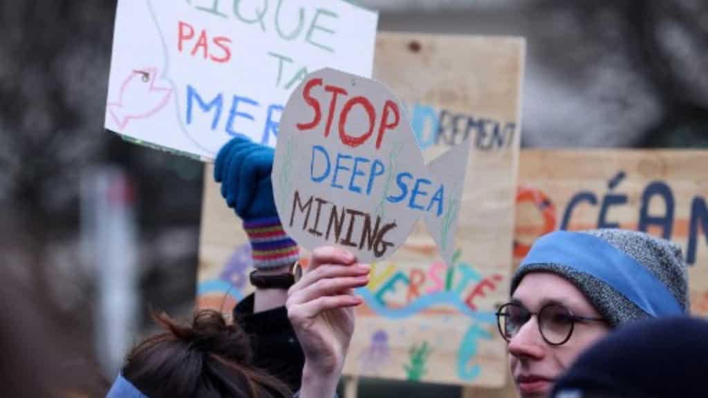 Seafood industry opposes deep-sea mining plans as study shows potential impact on tuna fisheries