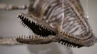 Sotheby's to auction dinosaur skeletons, including one evoking Loch Ness monster