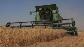 UN asks Putin to extend Black Sea grain deal in return for SWIFT access