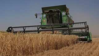 UN asks Putin to extend Black Sea grain deal in return for SWIFT access