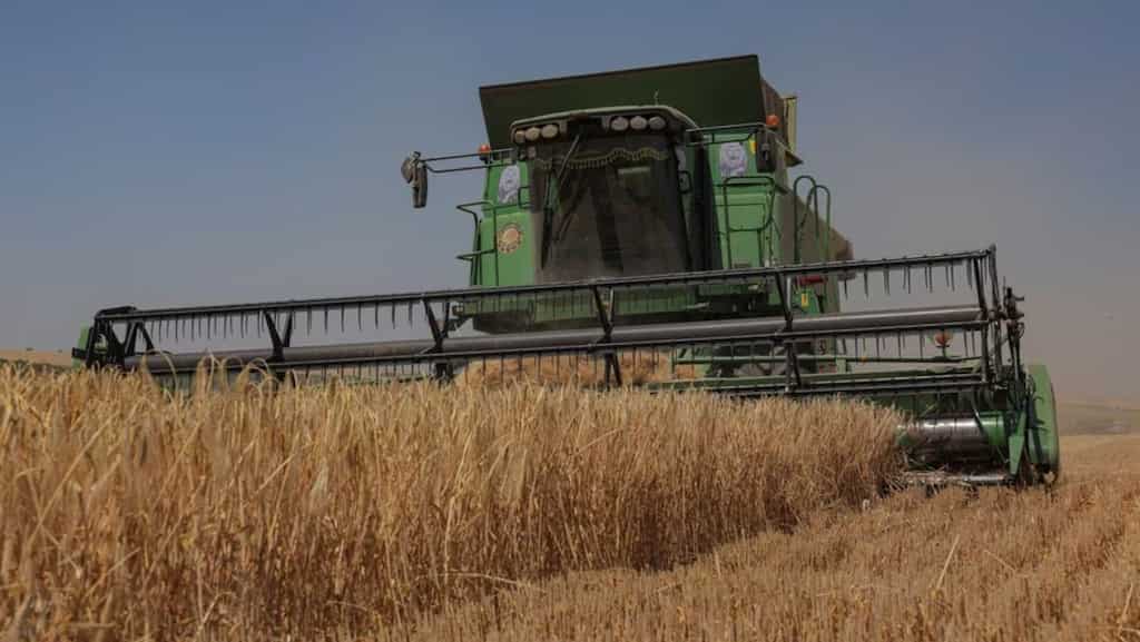 UN asks Putin to extend Black Sea grain deal in return for SWIFT access