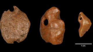 An unknown civilisation? Giant sloth pendants indicate humans came to Americas earlier than believed