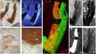 Hidden mysteries revealed in ancient Egyptian necropolis paintings. Details inside