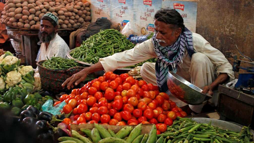 Has it shaken your kitchen too? Making sense of India's climate-driven tomato crisis