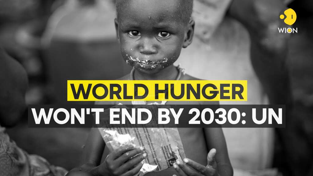 World off-track to meet 2030 goal of ending hunger: UN