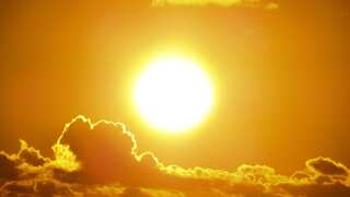 Scientists say sun's activity peaking sooner than expected, likely in 2024: Report