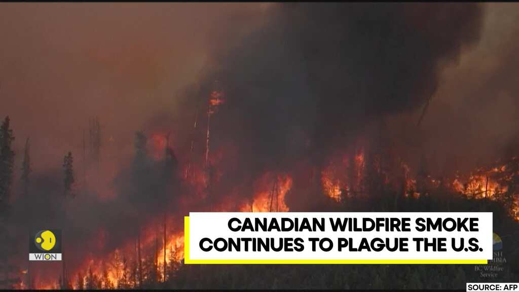 60 million Americans under air-quality alerts | Canadian wildfire smoke plagues US