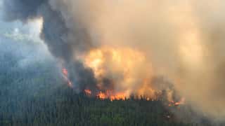 Smoke from Canadian wildfires places 60 million US residents under air quality alerts