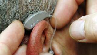 Research discovers repair process that fixes damaged hearing cells