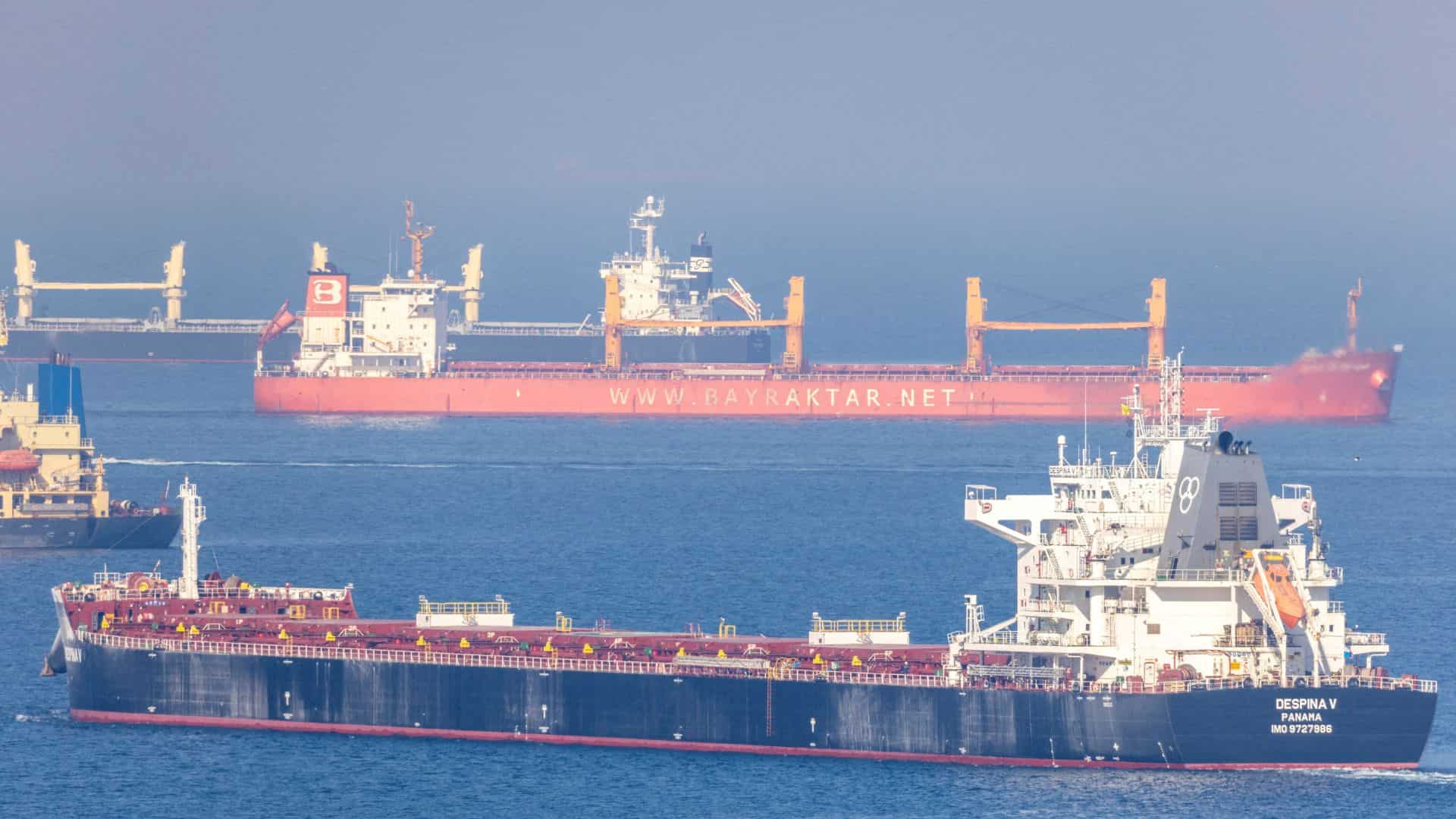 Black Sea grain deal expires after Russia backs out Black Sea grain deal expires after Russia backs out