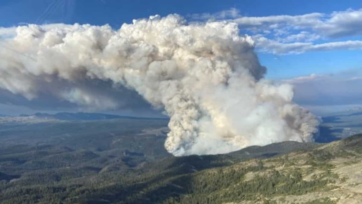 Canada: British Columbia seeks help of military, foreign countries to tackle record wildfires Canada: British Columbia seeks help of military, foreign countries to tackle record wildfires