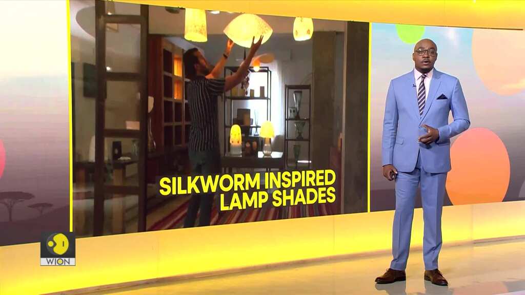 Tunisian artists use silkworm cocoons