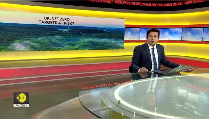 UK government failed to meet 50 % of its tree-planting targets