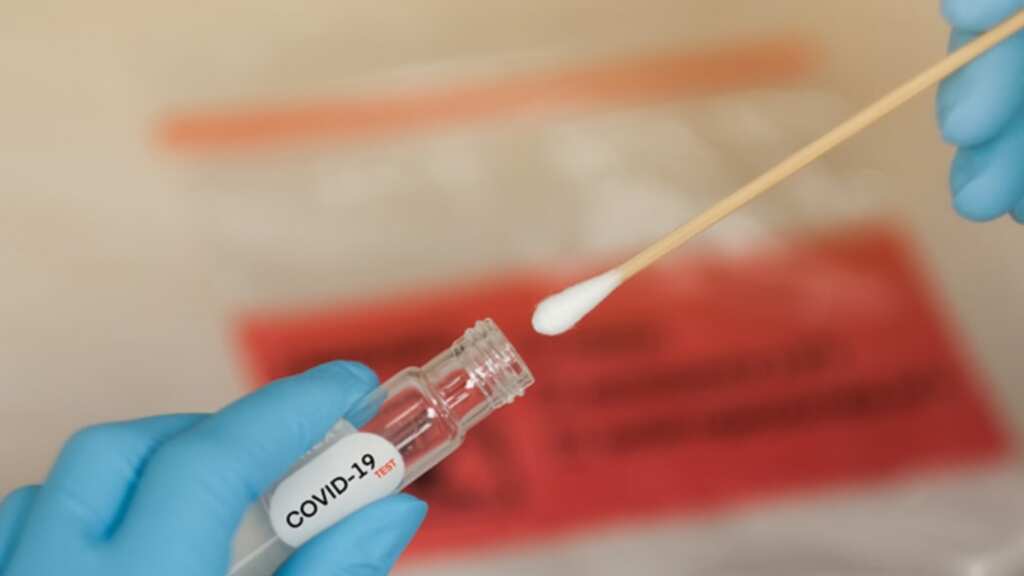 Covid positive but no symptoms? The reason probably lies in your genes. Here's how