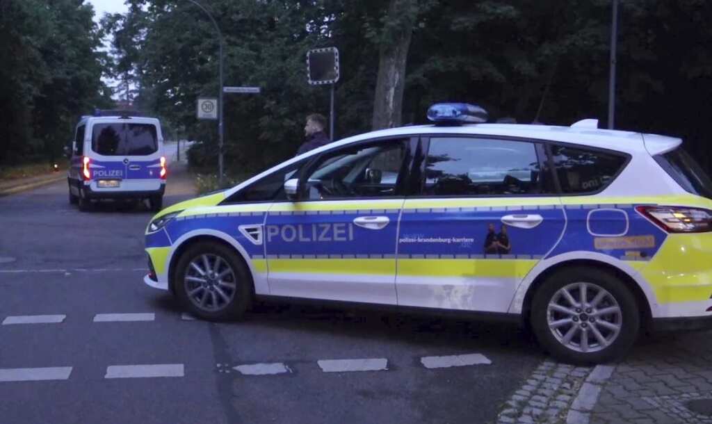 Germany: Cops search for 'lioness on the loose' in Berlin, thousands told to stay indoors