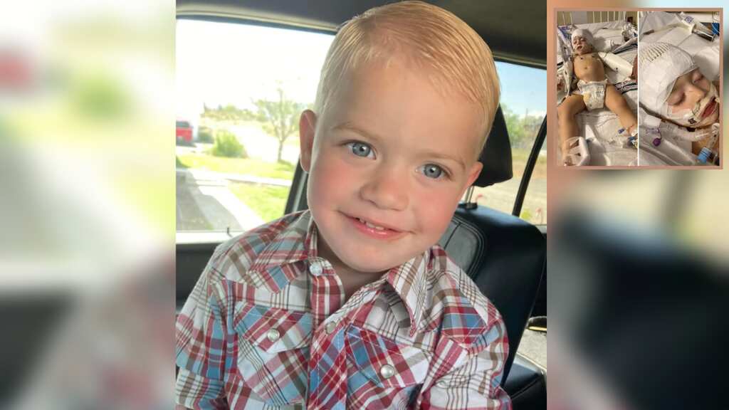 US: Two-year-old kid dies after contracting rare brain-eating amoeba