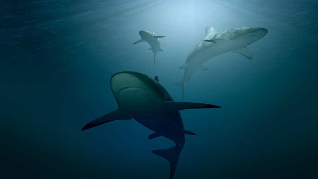 US woman’s dream trip to Indonesia ends in tragedy as shark devours her after strong currents sweep her away