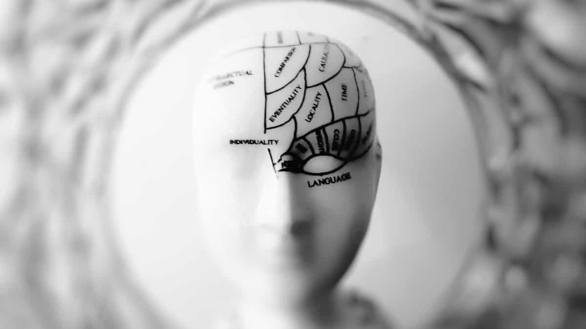 Unlock your brain's full potential with these simple lifestyle changes Unlock your brain's full potential with these simple lifestyle changes