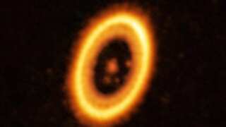 Astronomers discover rare Trojan which may share orbit with Jupiter-like planet